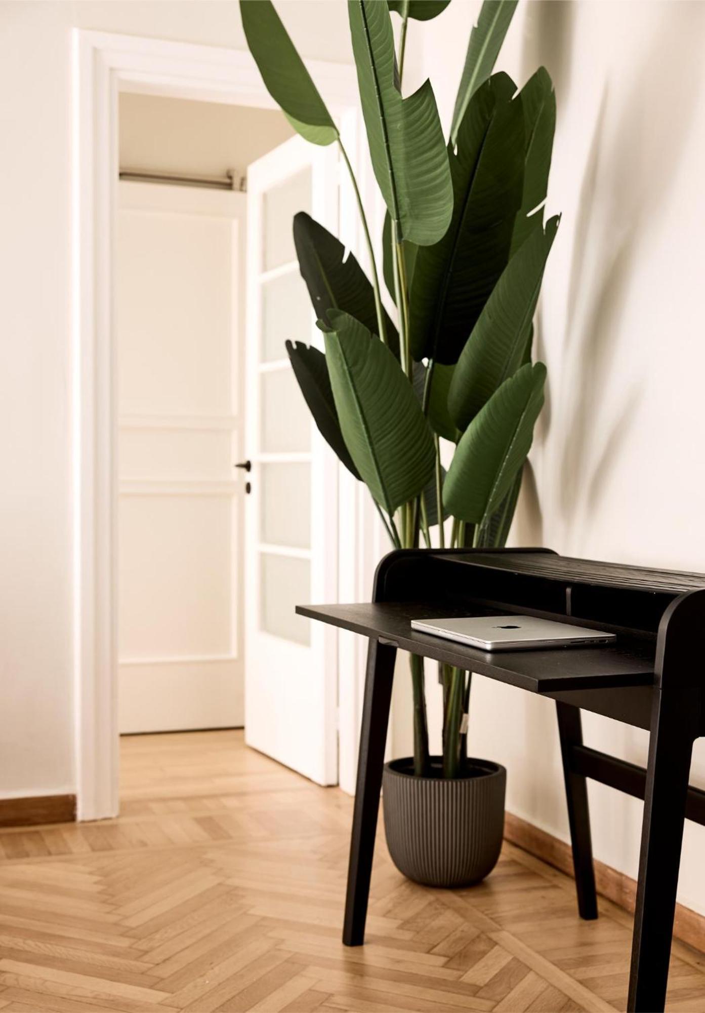 Lime Residences, Syntagma By Aura Homes